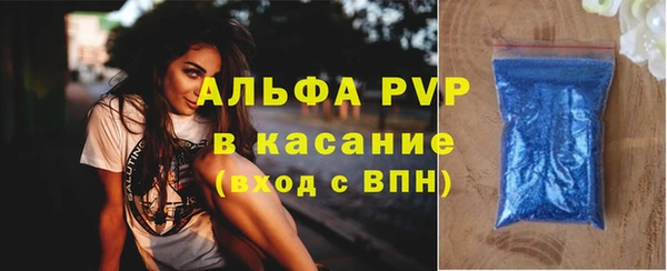 эйфоретик Беломорск