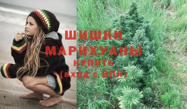 ГАЛЛЮЦИНОГЕННЫЕ ГРИБЫ Белоозёрский