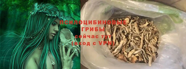 марки lsd Белокуриха