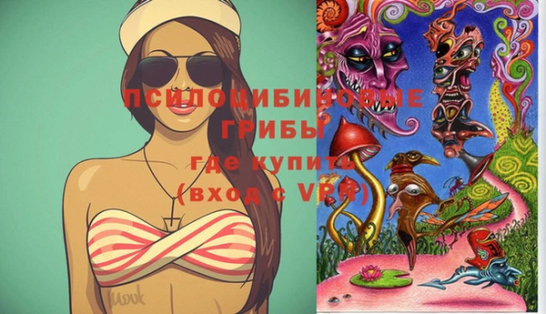 ГАЛЛЮЦИНОГЕННЫЕ ГРИБЫ Белоозёрский