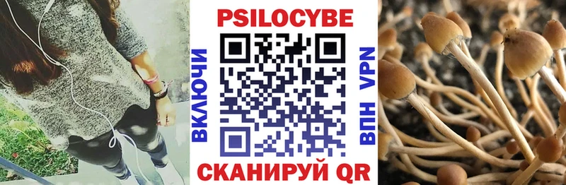 Псилоцибиновые грибы GOLDEN TEACHER  Ершов 